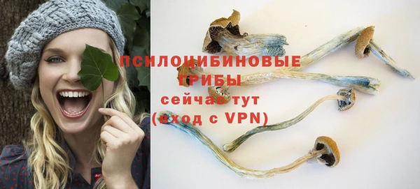 тгк Алексин