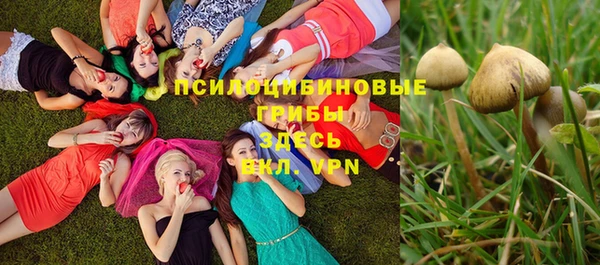 гидра Алзамай
