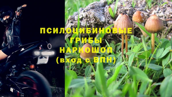 гидра Алексеевка