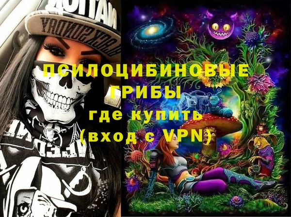гидра Алексеевка