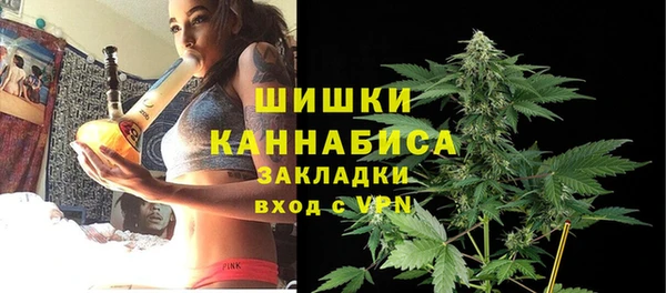 гидра Алексеевка