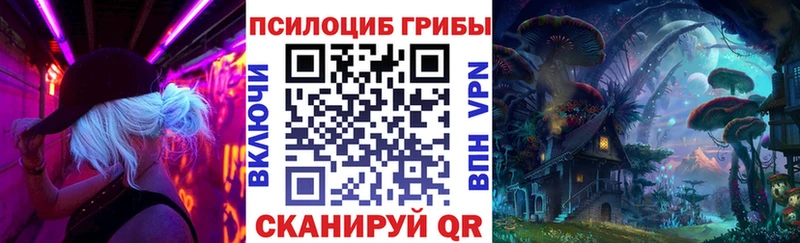 Псилоцибиновые грибы Psilocybe  Нарткала 