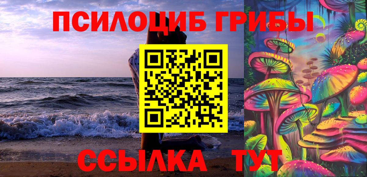Галлюциногенные грибы MAGIC MUSHROOMS  Вход с VPN  Нарткала 
