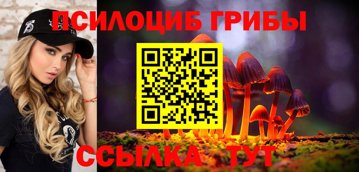 Галлюциногенные грибы Cubensis Нарткала