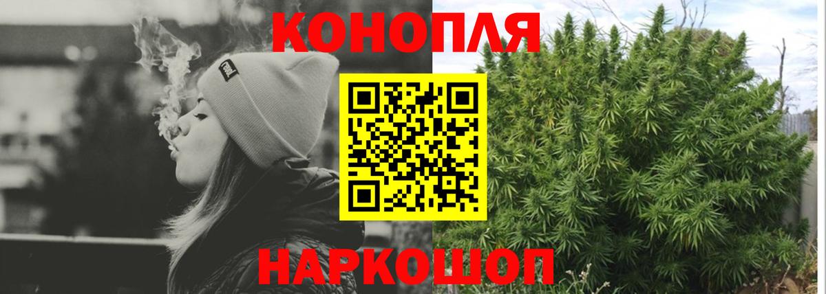Канабис сатива Нарткала